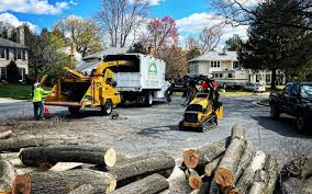 How Our Tree Care Process Works  in Upper Grand Lagoon, FL